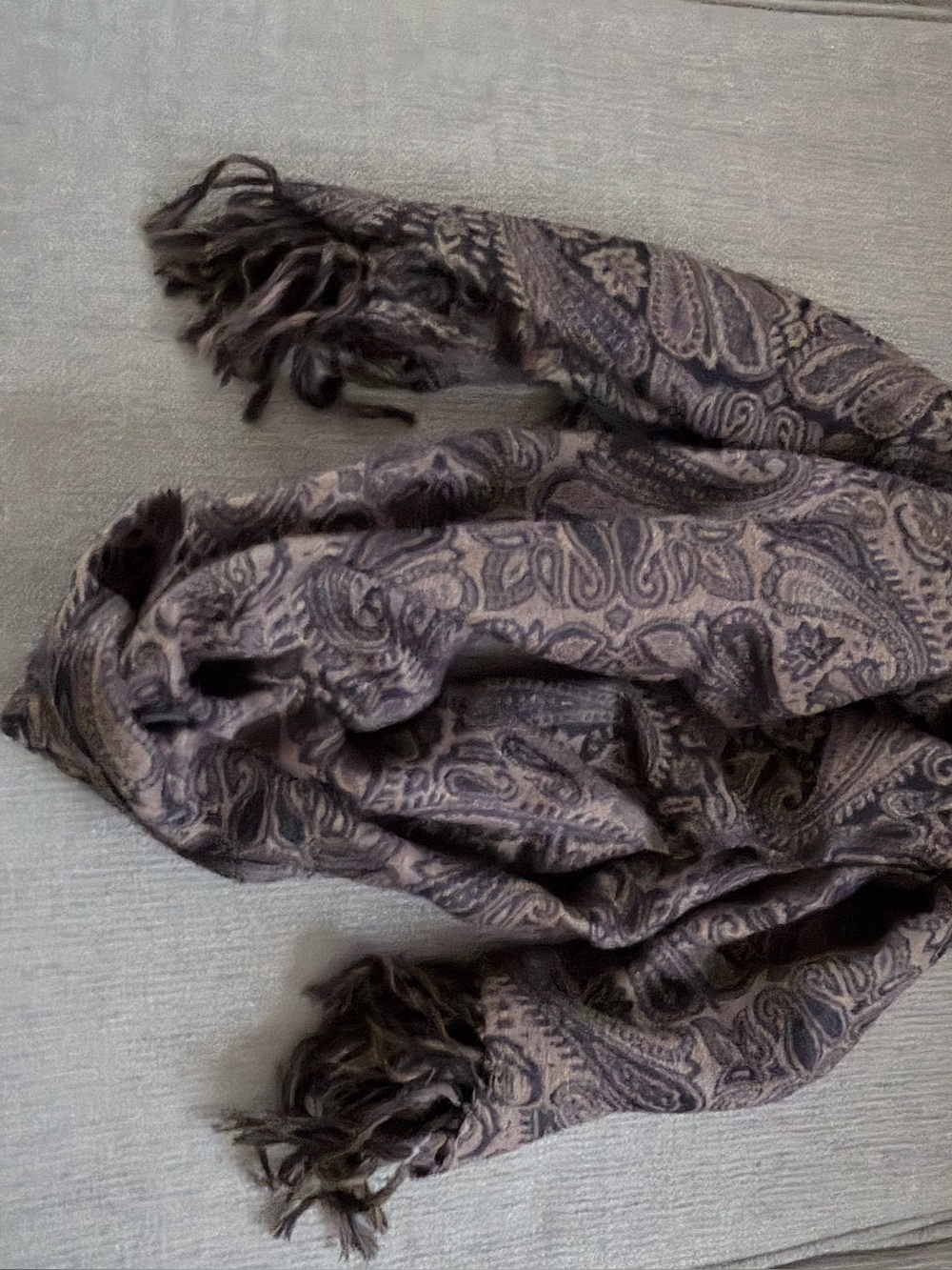 Paisley Fringe Scarf in Taupe and Dark Brown